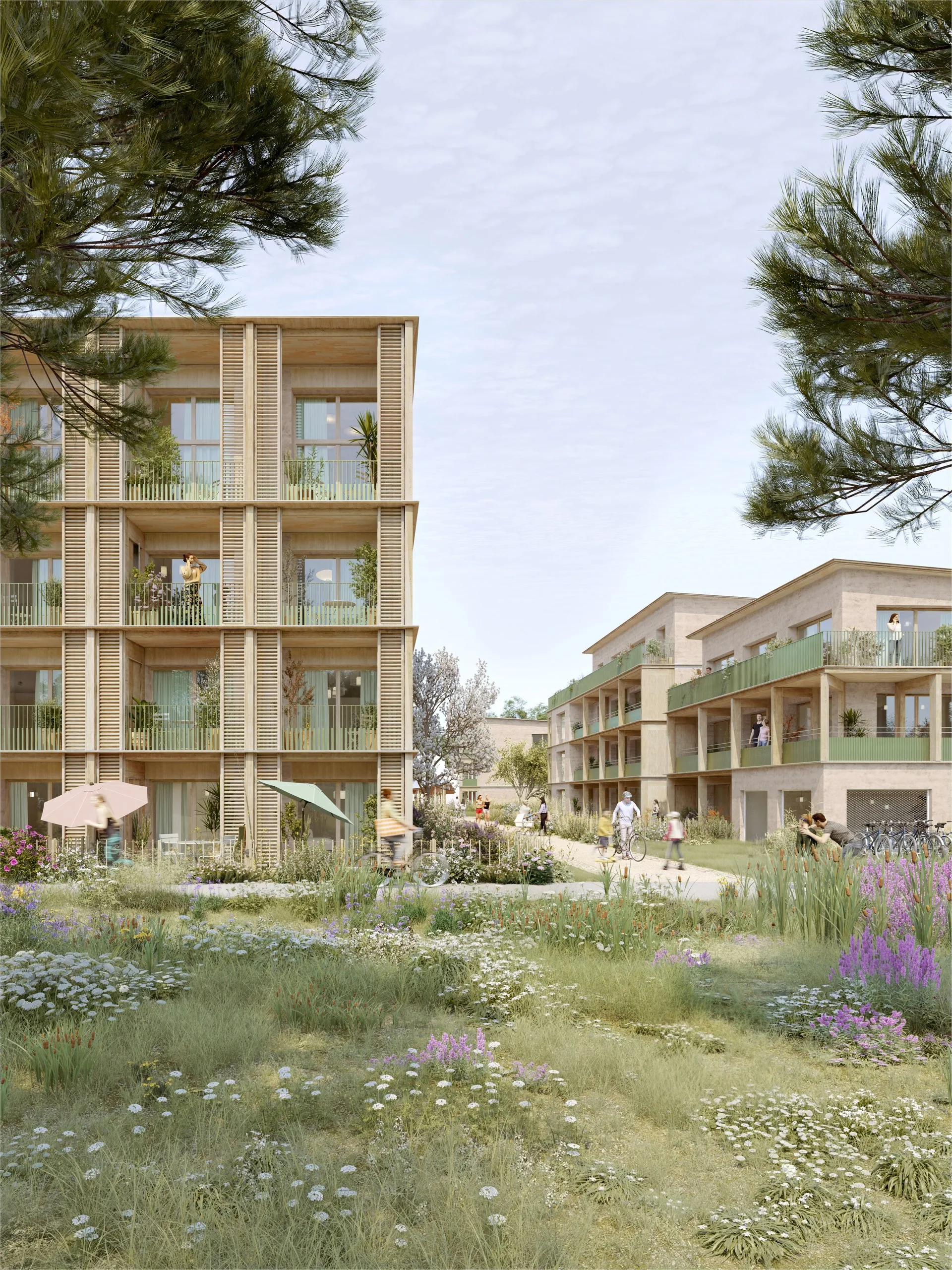 Clos Nogain, les logements sur la prairie